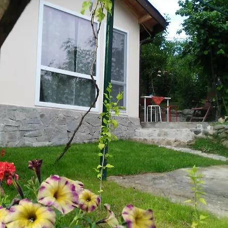 Holiday home Blue Summer